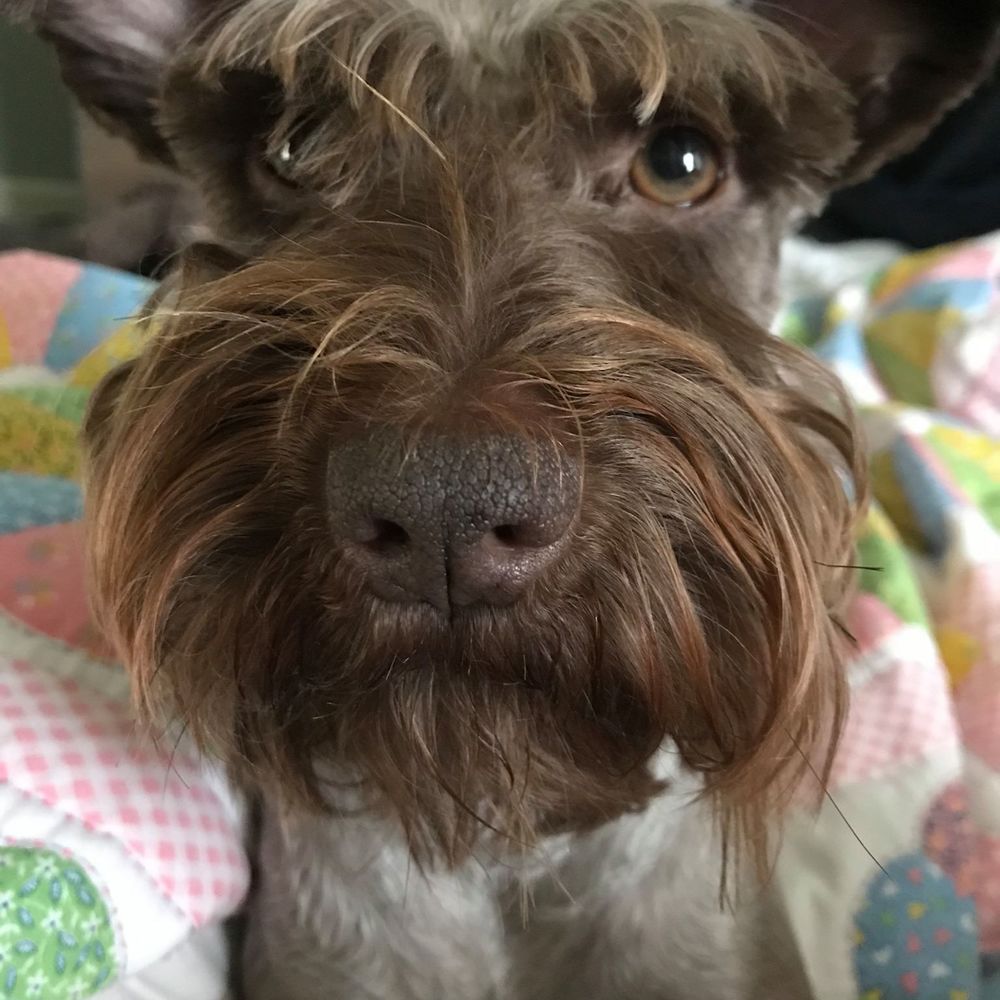 Meet your Posher, Dieter